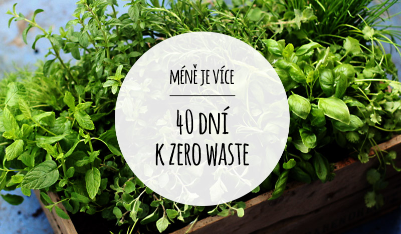 40 dní k zero waste